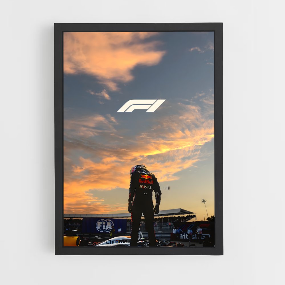 Poster Formula cars bolides – affiche Voitures de Formule 1 (vue 2)